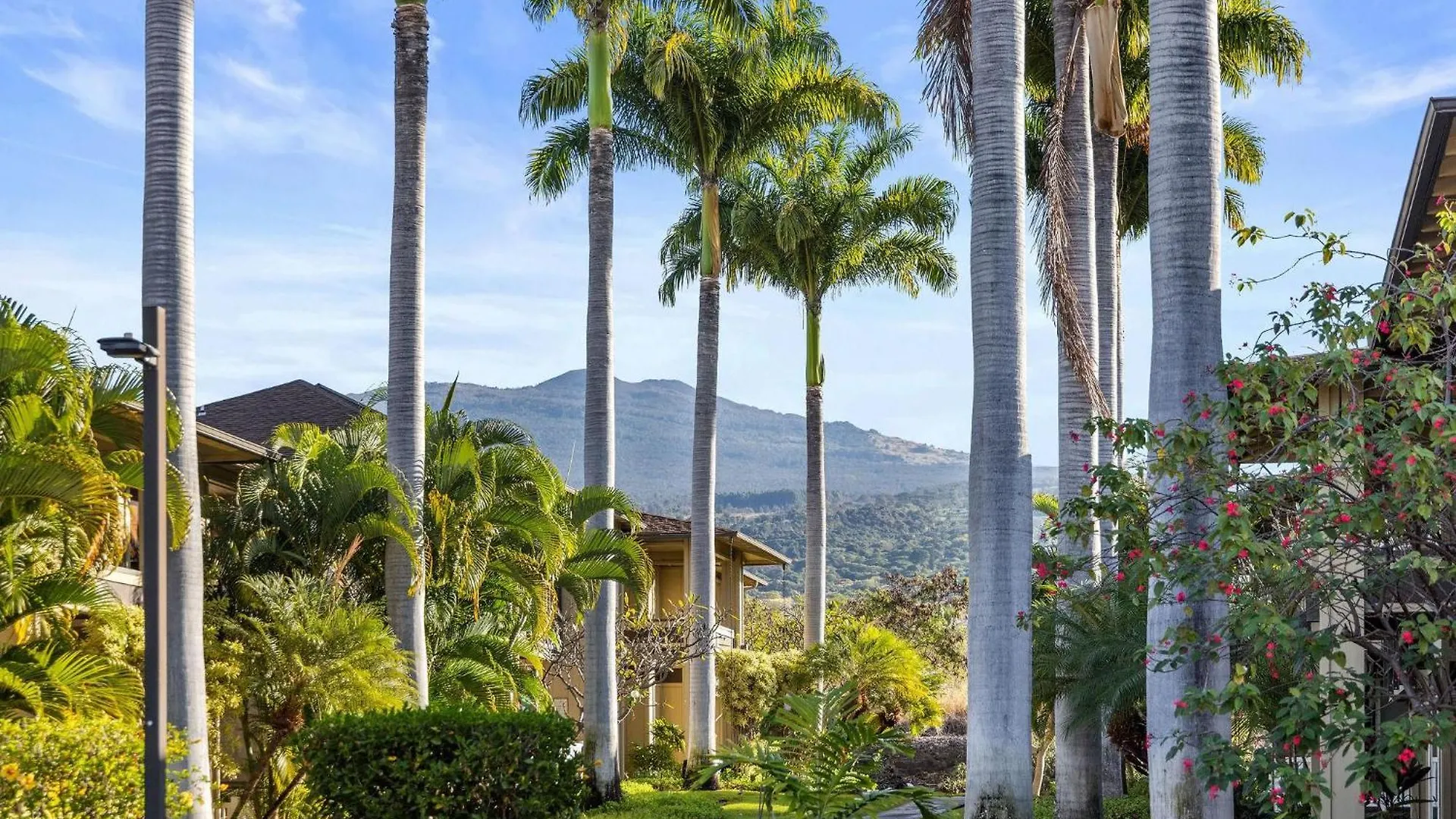 Alii Park Place#N-202 Kailua-Kona Holiday home